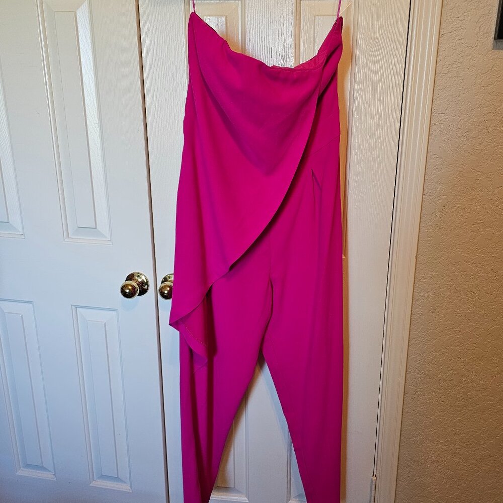Strapless Jumpsuit - image 1